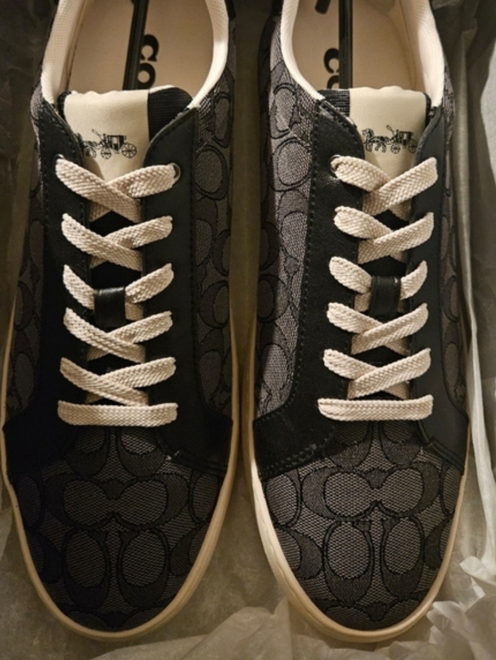 Coach Sneakers - Picture 1 of 3